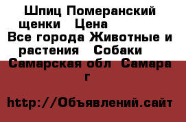 Шпиц Померанский щенки › Цена ­ 25 000 - Все города Животные и растения » Собаки   . Самарская обл.,Самара г.
